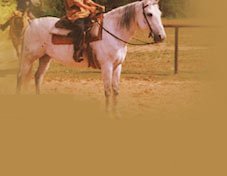 centre equestre de la montagne de lure